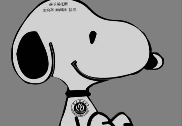 参考设计图片