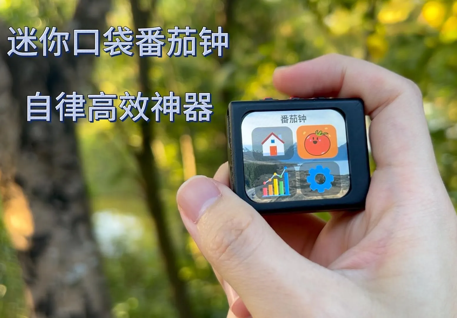 参考设计图片
