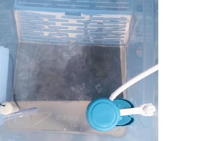 参考设计图片