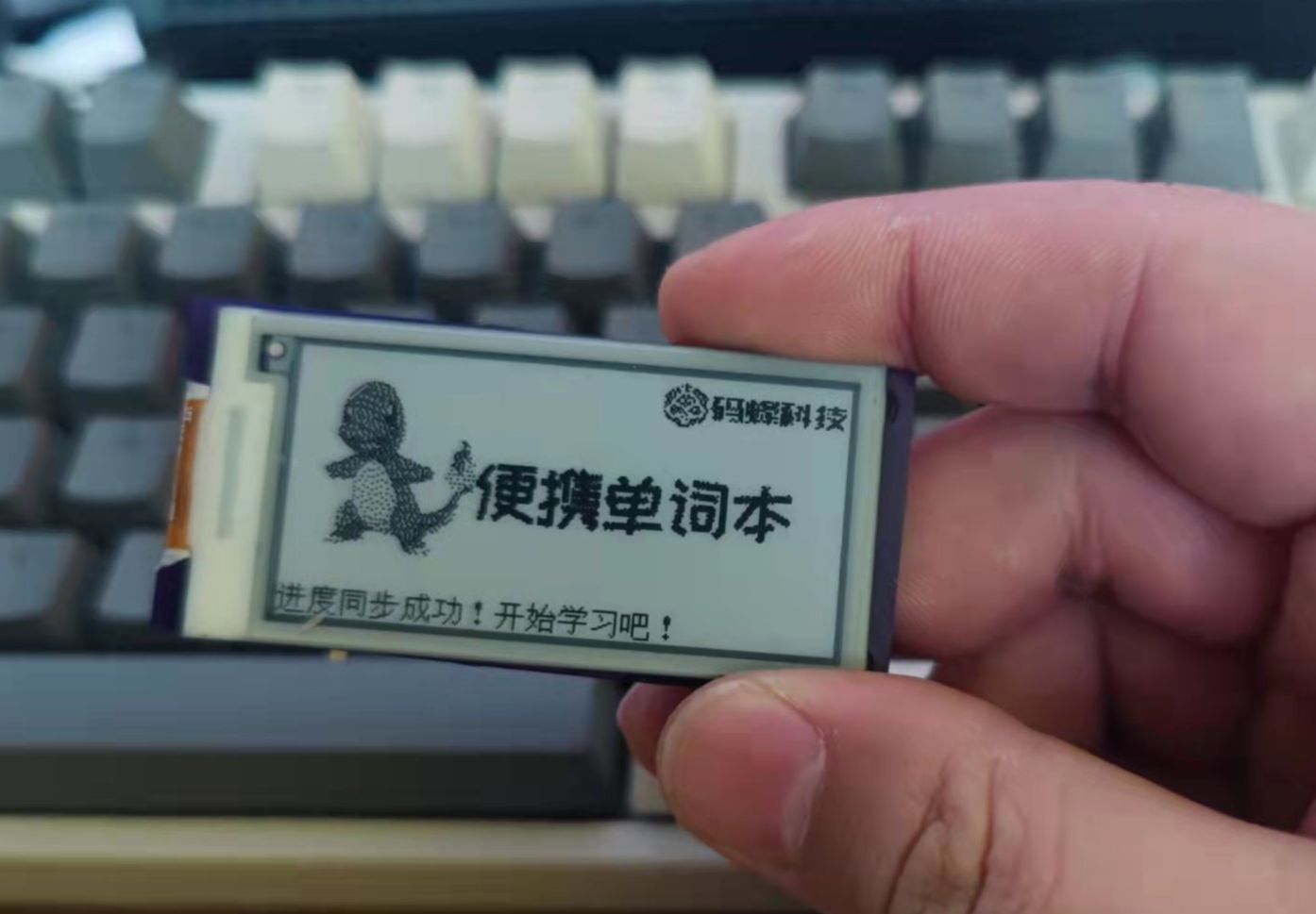 参考设计图片
