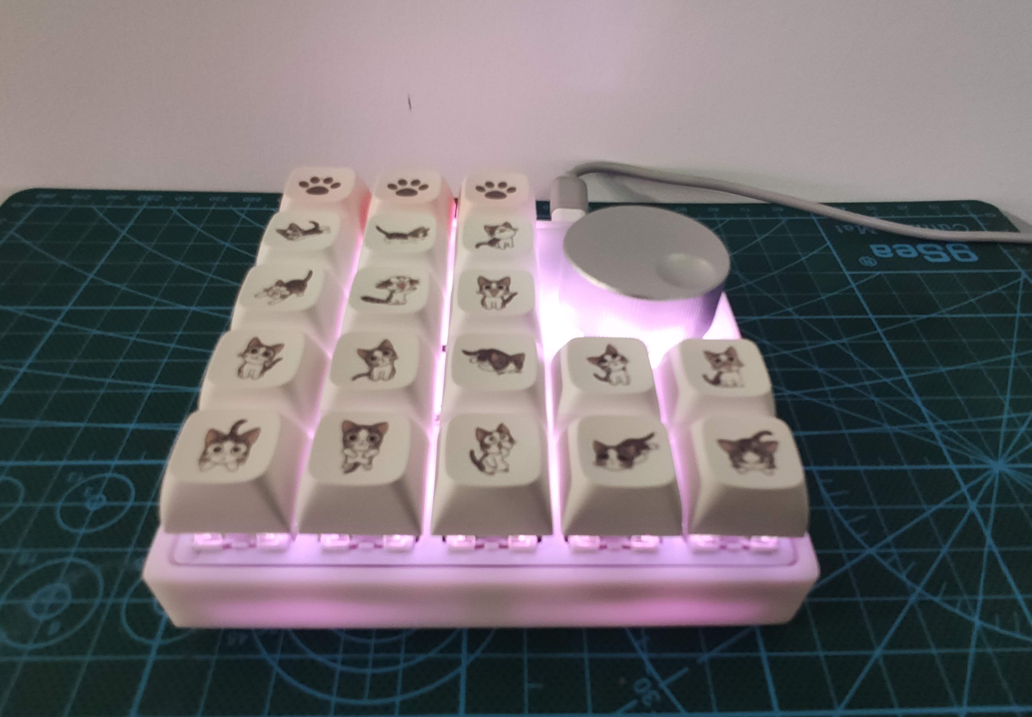 参考设计图片
