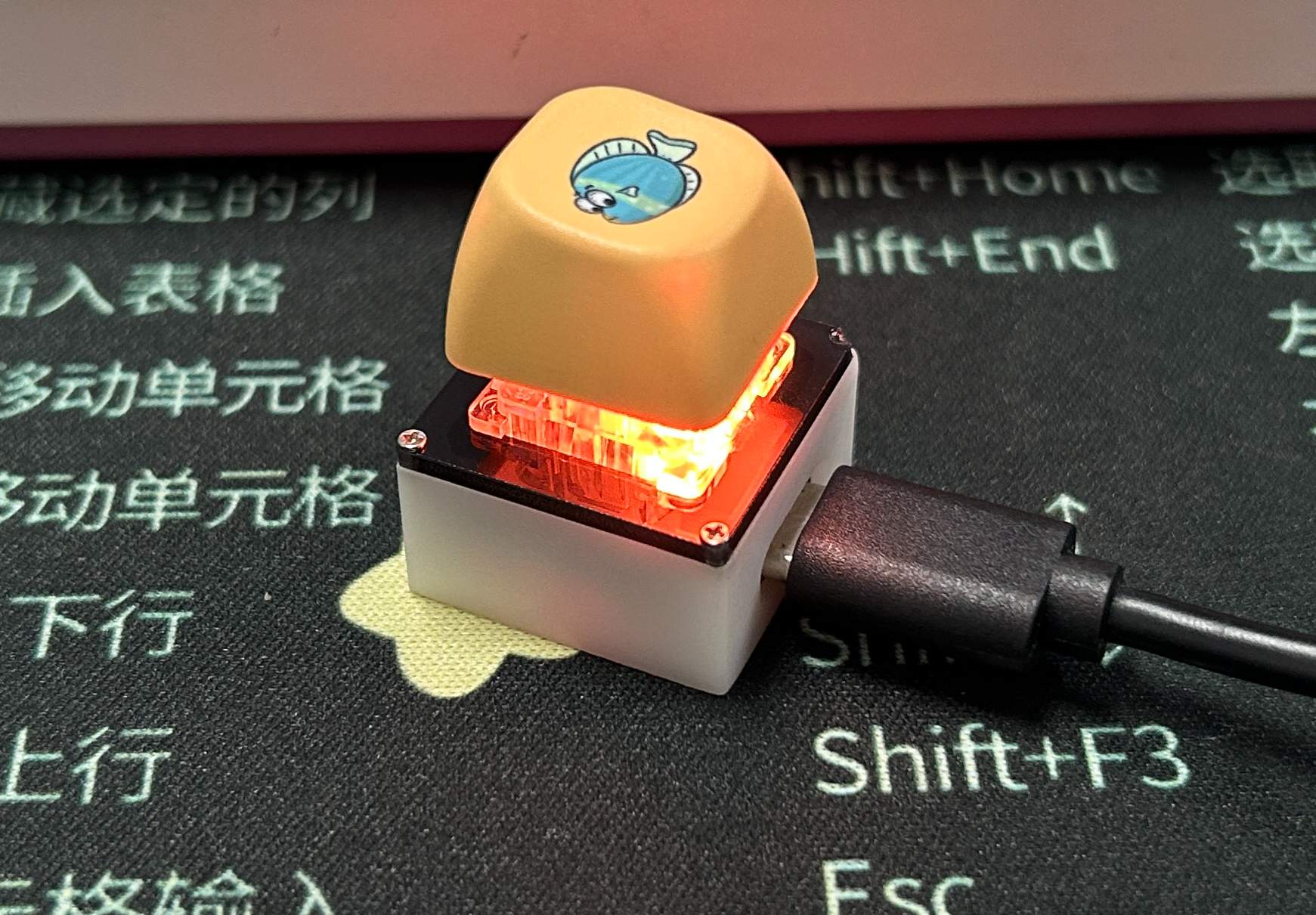 参考设计图片