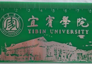 参考设计图片