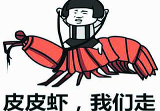 参考设计图片