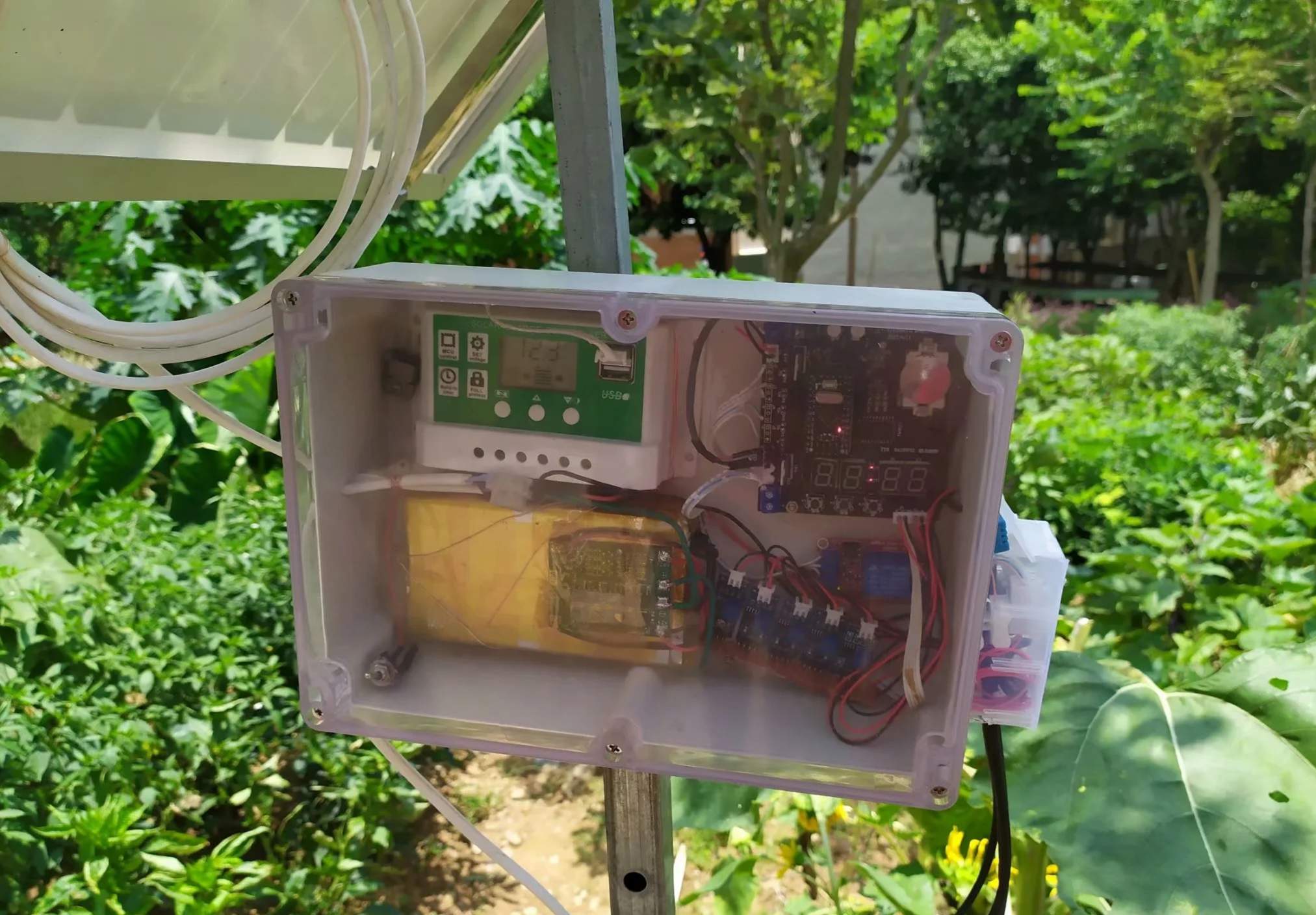 参考设计图片