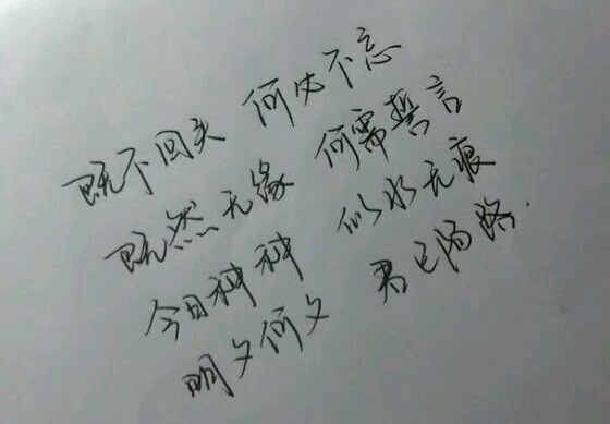 参考设计图片