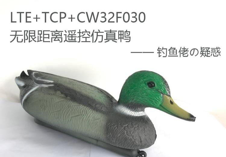 参考设计图片